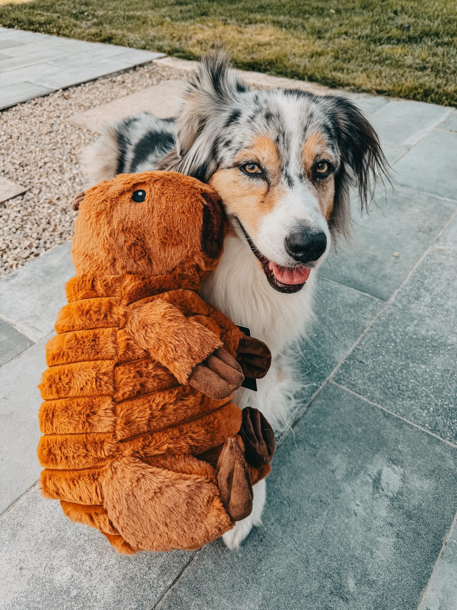 Peluche capibara xxl 41 cm